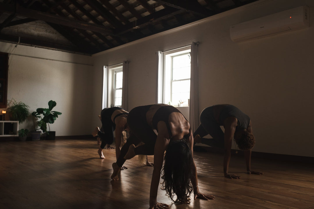 ART OF VINYASA